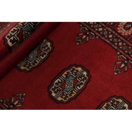 tappeto PAKISTAN BOKHARA CM.75X201