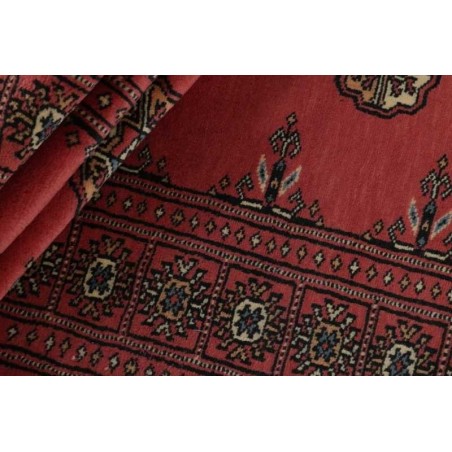 tappeto PAKISTAN BOKHARA CM.79X479