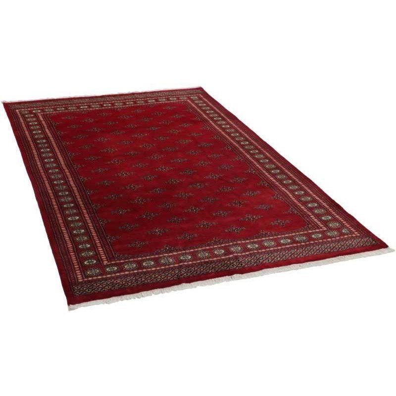 tappeto PAKISTAN BOKHARA CM.198X310