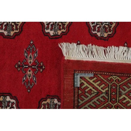 tappeto PAKISTAN BOKHARA CM.245X308