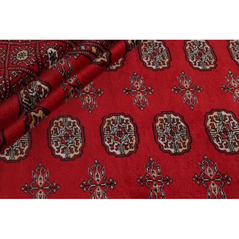 tappeto PAKISTAN BOKHARA CM.245X308