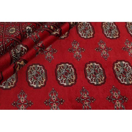 tappeto PAKISTAN BOKHARA CM.245X308