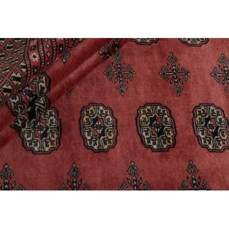 tappeto PAKISTAN BOKHARA CM.248X306