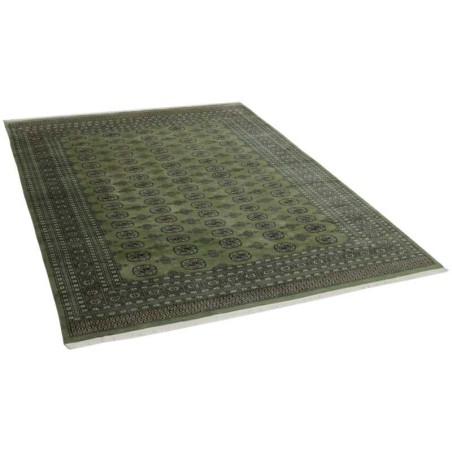tappeto PAKISTAN BOKHARA CM.246X315