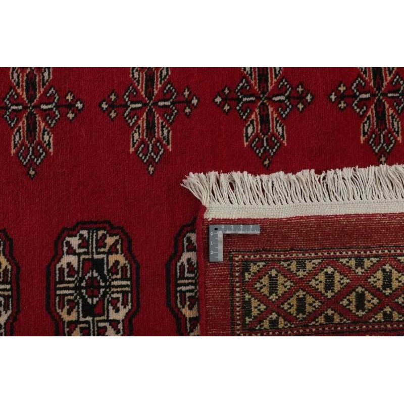 tappeto PAKISTAN BOKHARA CM.246X334