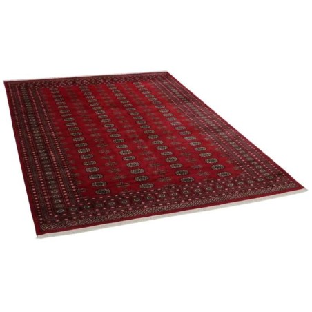 tappeto PAKISTAN BOKHARA CM.246X334