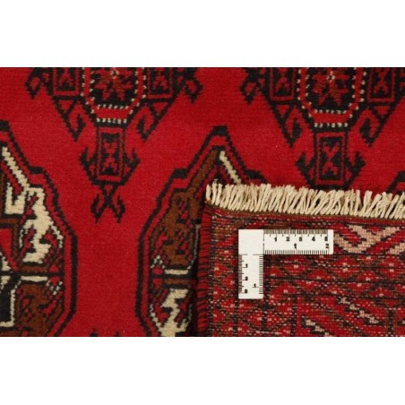 tappeto PERSIA TORKAMAN CM.195X297