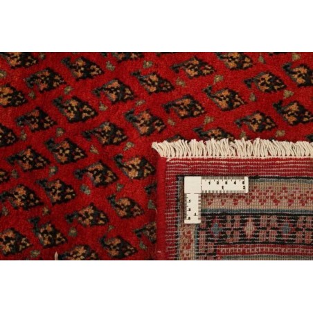 tappeto PERSIA MIR BOTEH CM.252X347