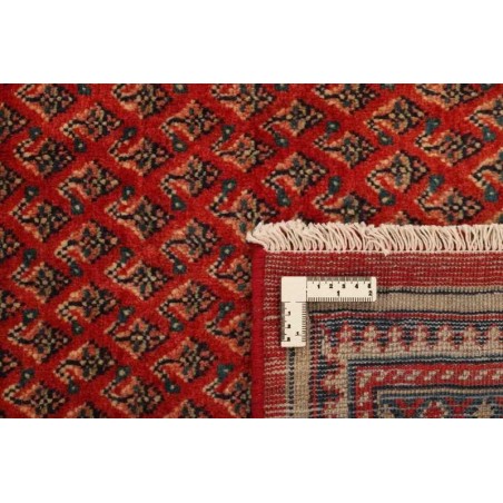 tappeto PERSIA MIR BOTEH CM.265X338