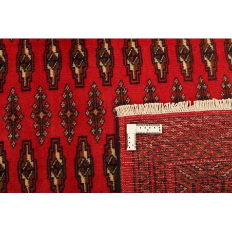tappeto PERSIA TORKAMAN CM.207X289