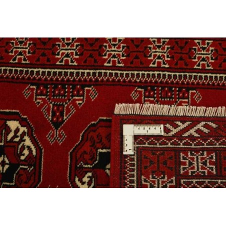 tappeto PERSIA TORKAMAN CM.63X196