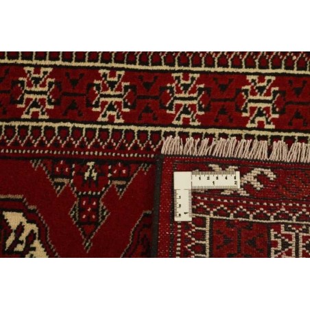 tappeto PERSIA TORKAMAN CM.64X198