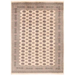 tappeto pakistan bokhara cm 249x332