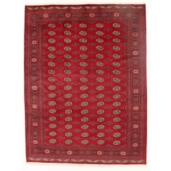 tappeto pakistan bokhara cm 244x317