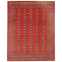 tappeto pakistan bokhara cm 250x308