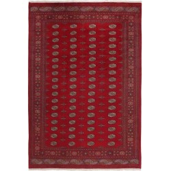 tappeto pakistan bokhara cm 241x342