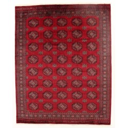 tappeto pakistan bokhara extra cm 248x309