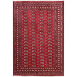 tappeto pakistan bokhara cm 204x305