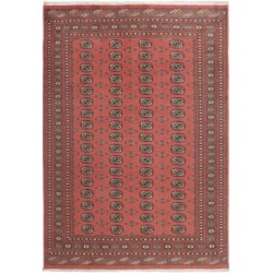 tappeto pakistan bokhara cm 217x312