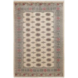 tappeto pakistan bokhara extra cm 170x256