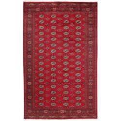 tappeto pakistan bokhara cm 201x312