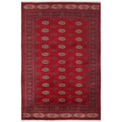 tappeto pakistan bokhara extra cm 170x250