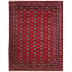 103445 tappeto pakistan bokhara cm 248x310 2