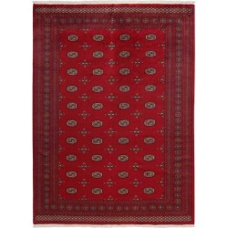 103446 tappeto pakistan bokhara cm 242x317 2