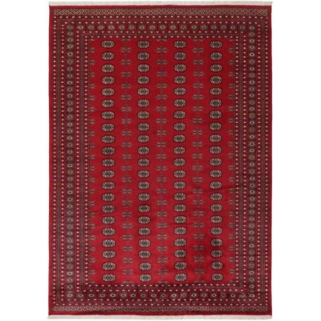 tappeto-pakistan-bokhara-cm-246x334.jp