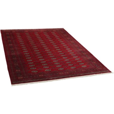 tappeto pakistan bokhara cm 239x329 3