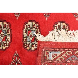 tappeto pakistan bokhara cm 244x317 2