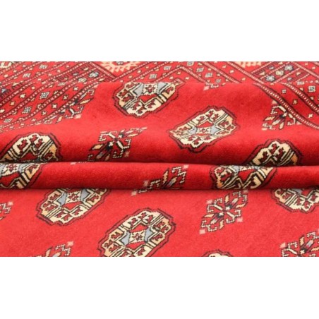 tappeto pakistan bokhara cm.244x317 1