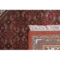 tappeto india bidjar indi cm 253x303 2