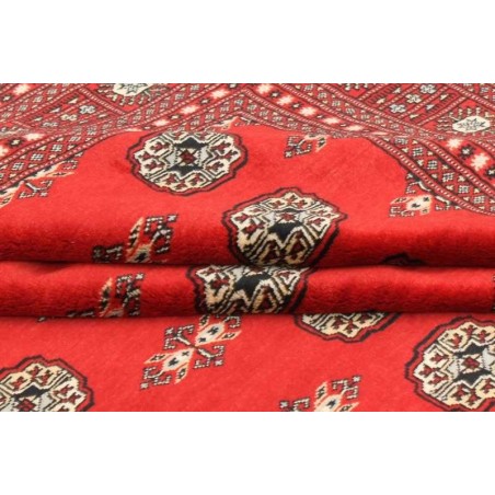 tappeto pakistan bokhara cm.246x309 1