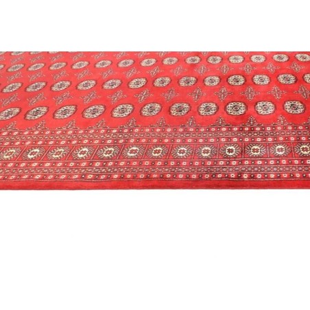 tappeto pakistan bokhara cm 250x308 2