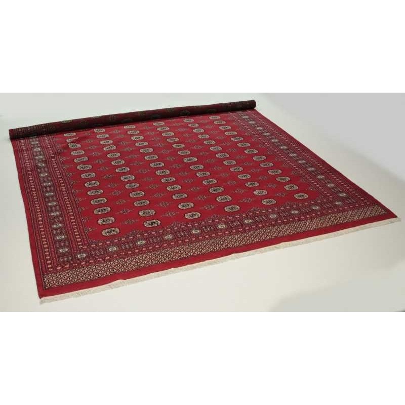 tappeto pakistan bokhara cm 310x425 3