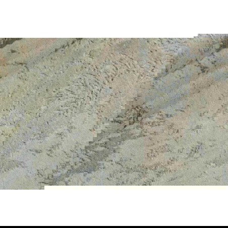 tappeto india damask outlet cm.248x312 1