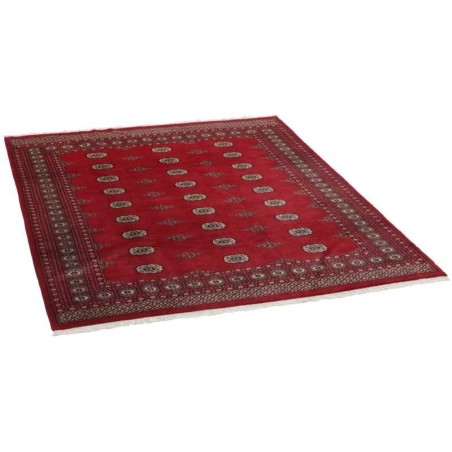 tappeto pakistan bokhara cm 202x249 3