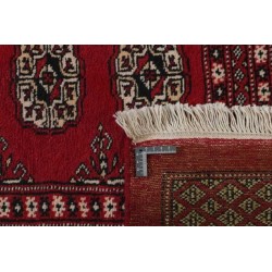 tappeto pakistan bokhara cm 197x317 2