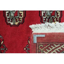 tappeto pakistan bokhara cm 305x420 2