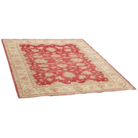 tappeto turkmanistan ziegler cm 211x258 3