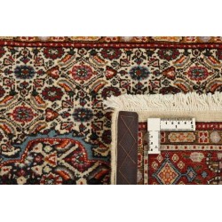 tappeto-persia-moud-mahi-cm-82x125.jp 2
