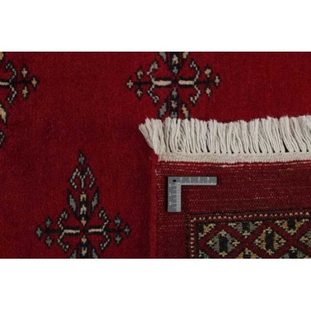 tappeto pakistan bokhara cm.198x310 0