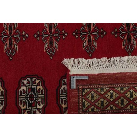 tappeto pakistan bokhara cm.246x334 0