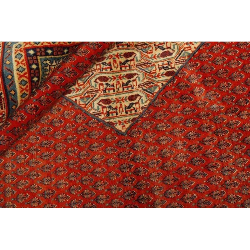 tappeto persia mir boteh cm.217x270 1
