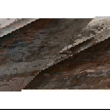 tappeto india senses cm.306x242 1