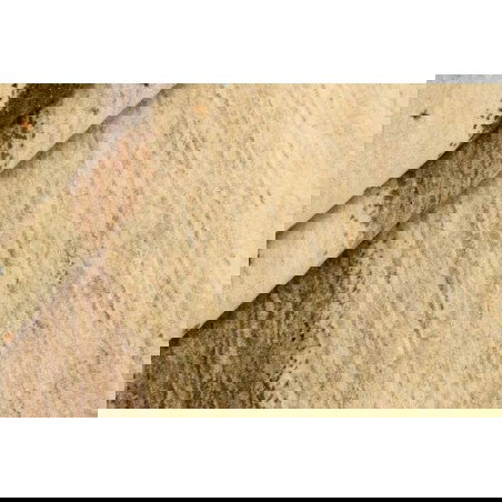 tappeto persia gabbeh fine cm.161x202 1