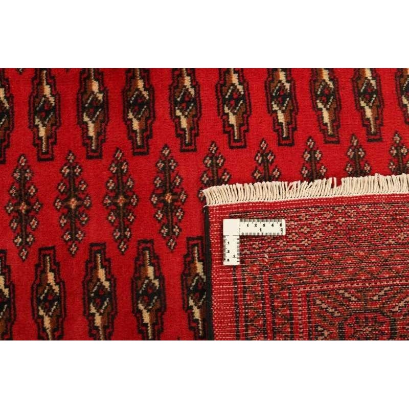 tappeto persia torkaman cm.207x289 0