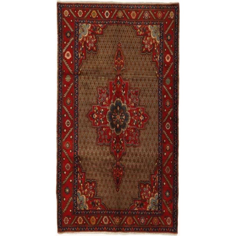tappeto persia koliaie cm 160x293 