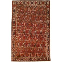 tappeto persia bakhtiyar cm 217x322 